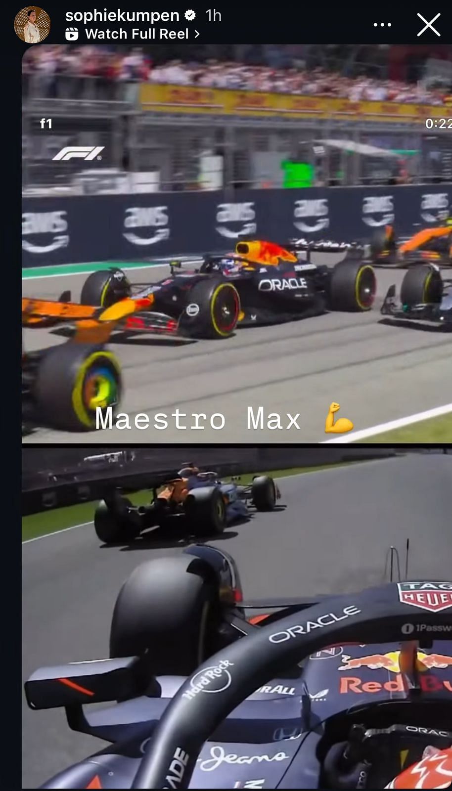 Max Verstappen's mother, Sophie Kumpen's Instagram story via Instagram
